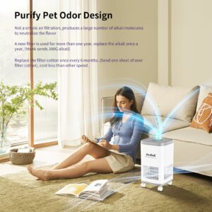 EcoBreeze Pet Purifier